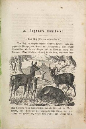 Neuestes illustrirtes Jagdbuch : Hsg. v. A. Biermann u. Dr. Oderfeld