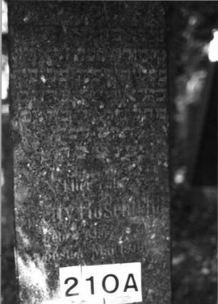 Grabstein 210 (Index: 100085305) Maße HxBxT: 175x48x23 cm Beschreibung: Stele, getreppter Sockel, giebelartiger Abschluß: Grabstein 210A