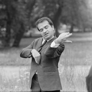 Ruggiero Ricci : Porträt des Musikers Ruggiero Ricci (1918-2012)