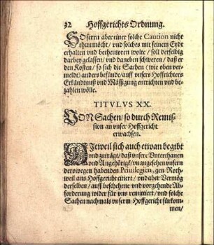 Titvlvs XX. VONn Sachen / so durch Remission an vnser Hoffgericht erwachsen.
