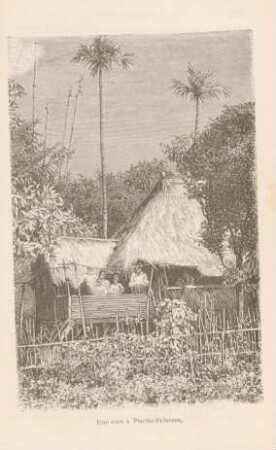 Une case à Puerto-Princesa