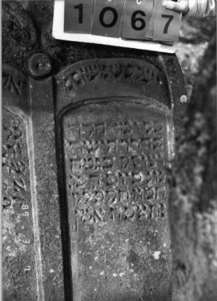 Grabstein 1067 (Index: 99753341) Material: Sandstein Zustand: leicht verwittert Maße HxBxT: 119x82x13 cm Beschreibung: Doppelstele, zwei Schriftfelder eingetieft Symbolik: Voluten, Mittelakroter, Scheibe: Grabstein 1067 (Detailaufnahme 1)