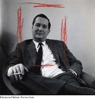 Portraitserie William Styron