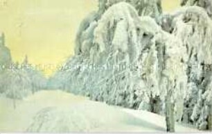 Verschneiter Winterwald mit Straße nach Tellerhäuser