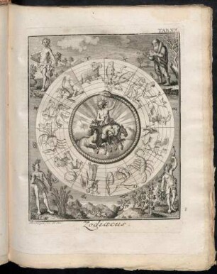 Tab. XX. Zodiacus.