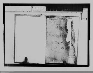 Protokoll der Amtsbescheide und Urteile zu Nassau-Dillenburg (Fragment)