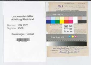 Entnazifizierung Helmut Krumbiegel , geb. 23.11.1893 (Versicherungsdirektor)