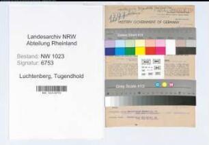 Entnazifizierung Tugendhold Luchtenberg , geb. 13.02.1901 (Kaufmann)