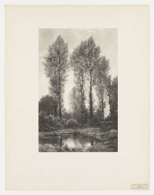 Peupliers, Blatt 38 der Folge "Le paysage au fusain"
