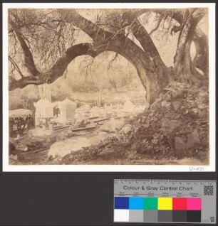 Cimetière El Kébir (Blida)