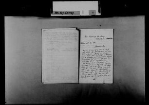 Schreiben von Carl Hoff, Düsseldorf, an August Lamey: Bitte um eine gemeinsame Reise nach Italien mit dem Vater Hoffs, Carl Heinrich Hoff.
