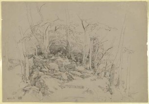 Waldweg über Felsen führend