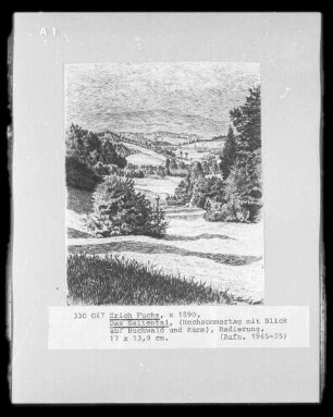 Das Seitental (Hochsommertag mit Blick Buchwald und Kamm)