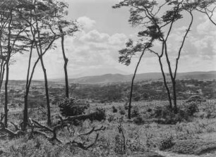 Mount Hanang : Blick auf den Vulkan Mount Hanang