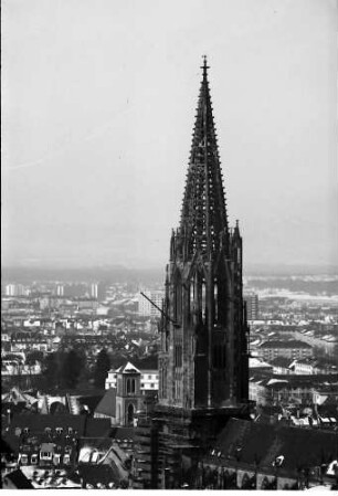 Freiburg: Münster vom Kanonenweg