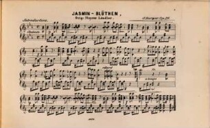Original-Compositionen für Zither, 14. op. 26: Jasmin-Blüthen: Orig. Steyrer-Ländler