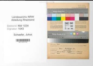 Entnazifizierung Julius Schaefer , geb. 10.07.1885 (Stabsintendant)