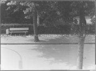 Straße und leere Bank an einer Parkanlage (Altersgruppe 18-21)