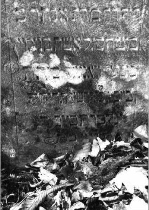 Grabstein 449 (Index: 99752816) Material: Sandstein Zustand: leicht verwittert Maße HxBxT: 103x60x14 cm Beschreibung: Stele, giebelartiger Abschluß, Schriftfeld eingetieft: Grabstein 449A