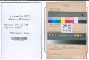 Entnazifizierung Heinz Wellmanns , geb. 04.02.1903 (Rechtsanwalt)