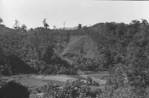 Kulturlandschaft im Urwald : Blick auf einen Urwald mit einer gerodeten Fläche für Ackerbau