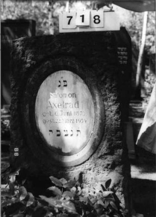 Grabstein 718