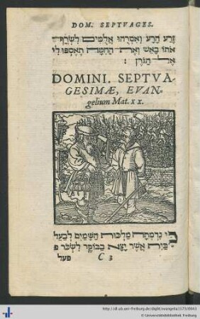 Domini. Septuagesimae, Evangelium Mat. XX.