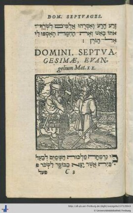 Domini. Septuagesimae, Evangelium Mat. XX.