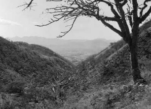 Hochland Eritreas : Blick in ein Tal im Hochland Eritreas