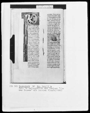 Evangeliar, angeblich aus Sankt Gereon in Köln — Initiale P(lures fuisse), Folio 7verso