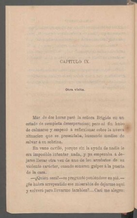 Capítulo IX. - Otra visita.