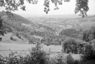Lindenfels: Blick auf Burg Lindenfels, von der Straße