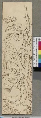 Lichter Wald. Eine Rechtskulisse (?)