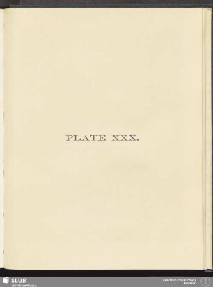 Plate XXX