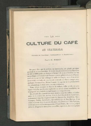 La Culture Du Café Au Guatemala.