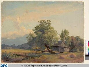 Bachlauf