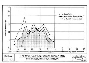 Ernteverlauf bei Einlegegurken 1982