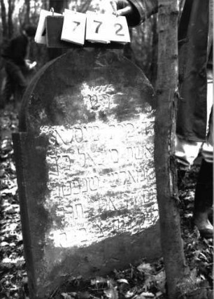 Grabstein 772