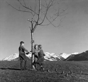 Kinderbilder. Kinder beim Ringelreihen um einen Baum