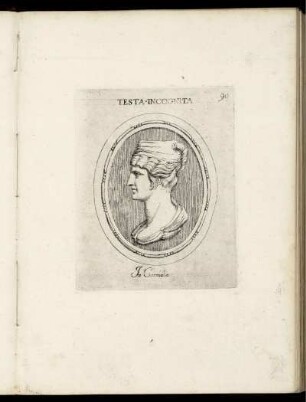 Testa Incognita