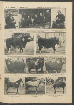 "Actualidades" en Buenos Aires: La Exposición Internacional de Ganadería - [Fotografías]