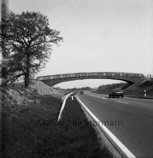 Ostring: 2. Abschnitt: links und rechts Böschung: links Baum: hinten rechts Pkws: dahinter Fußgängerbrücke zwischen Starweg und Elchweg