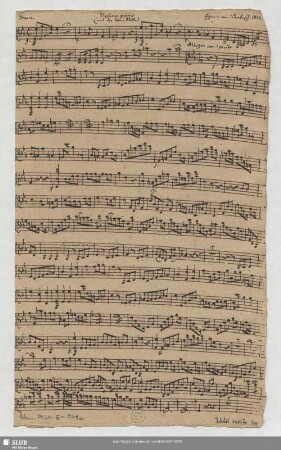 Violino primo (mit der Solo-Stelle)