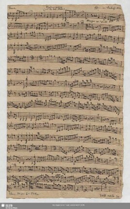 Violino primo (mit der Solo-Stelle)