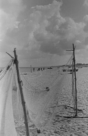 Fischerboote am Prerower Strand
