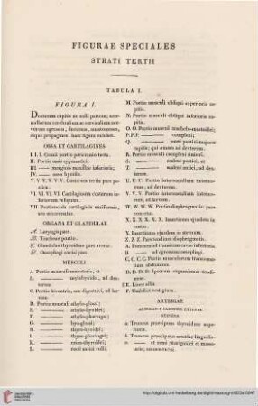 Figurae speciales strati tertii