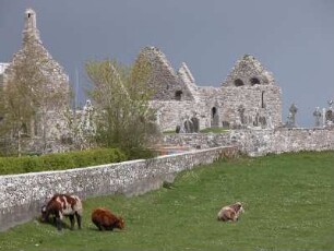 Klosterfriedhof : Seitliche Gesamtansicht des ältesten irischen frühmittelalterlichen Klosters in Clonmacnoise am Shannon River, aufgenommen im April 2005. Foto Uwe Gerig
