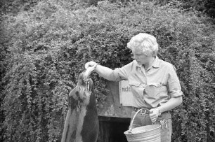 Fütterung der Robben im Karlsruher Zoo