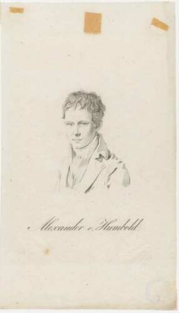 Alexander v. Humbold.