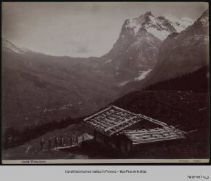 Panorama mit Wetterhorn